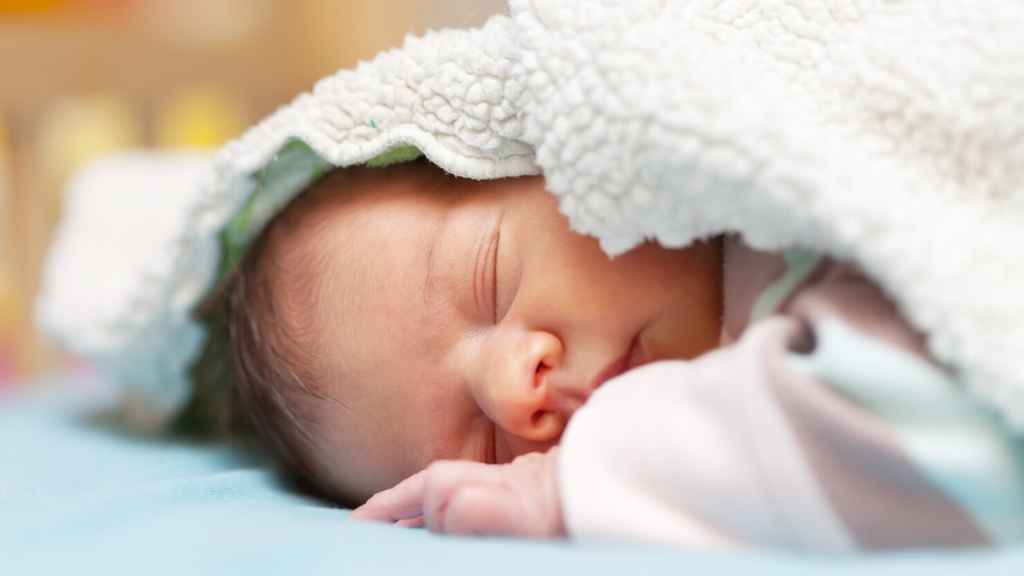 Top Fresh 48 Seasons Photographer